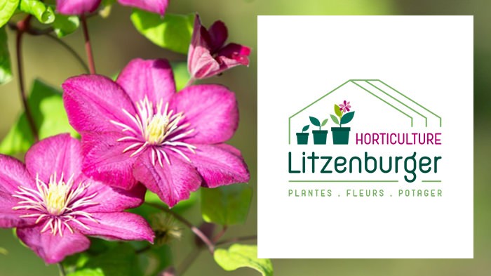 Horticulture Litzenburger Horticulture Litzenburger